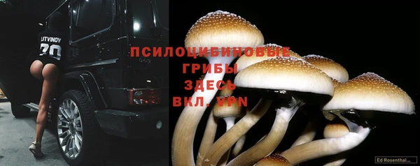 герыч Инсар