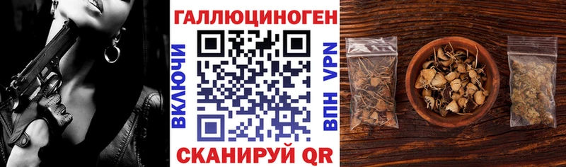 Псилоцибиновые грибы Magic Shrooms Купить закладки Мензелинск